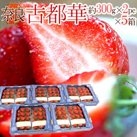 奈良県産 ”古都華いちご” 2pc×《5箱》（1pcあたり 約300g）【予約 12月～1月以降】 送料無料
