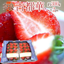 奈良県産 ”古都華いちご” 2pc（1pcあたり 約300g）【予約 12月以降】 送料無料