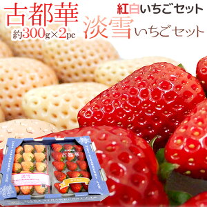 ޗǌY h WႢ{Ós؂ gZbgh 2pci1pc300gjy\ 12`1ȍ~z 