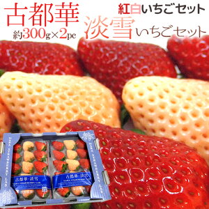 ޗǌY h WႢ{Ós؂ FgZbgh 2pci1pc12`15 300gjy\ 12`1ȍ~z 