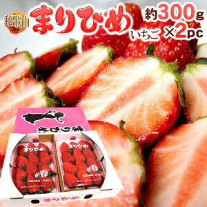 a̎R h܂Ђ߂i{P䕁jh Gi 2pbNi1pbN 9`15 300gj×s1ty\ 12ȍ~z 