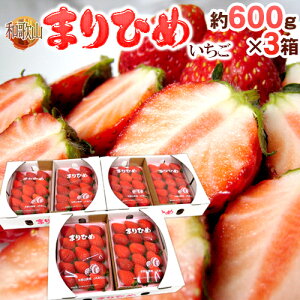 a̎R h܂Ђ߂i{P䕁jh Gi 2pbNi1pbN 9`15 300gj×s3ty\ 12ȍ~z 