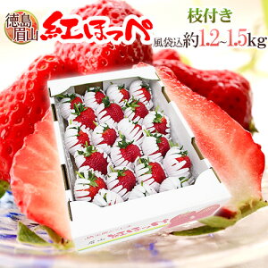  RY h}tgق؁h 1.2`1.5kgi܍j 傫܂ y\ 1ȍ~z 