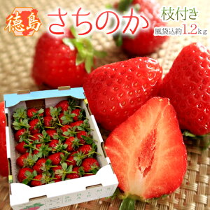 Y }t ĥh 嗱 1.2kgi܍j y\ 1ȍ~z 