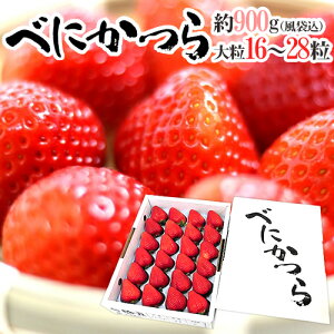 Y hׂɂîjh 嗱 16`28 ϔ y\ 1{ȍ~z 