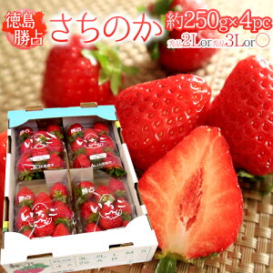 Y ĥh 2Lor3Lor嗱 250g×4pc y\ 12ȍ~z 