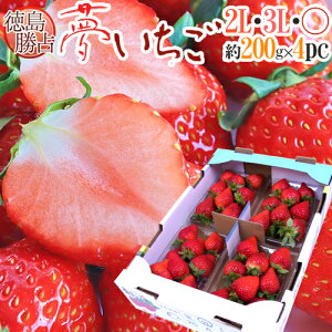 Y hh 2Lor3Lor嗱 250g×4pcy\ 12ȍ~z 