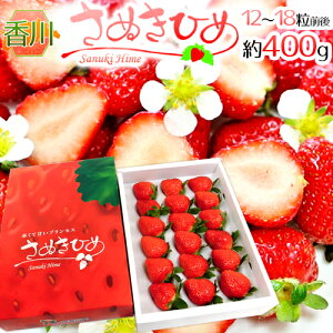 쌧 hʂЂ߂iʂPjh Gi 12`18O 400g Ynϔy\ 12ȍ~z 