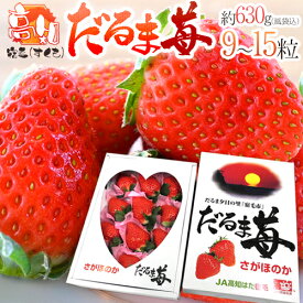 高知県宿毛産 ”だるま苺” 9〜15粒 約630g（風袋込） 化粧箱 いちご【予約 2月以降】 送料無料