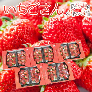  hh Gi 3L`5LTCY 250g×2pbN×s5t ϔy\ 12`1ȍ~z 