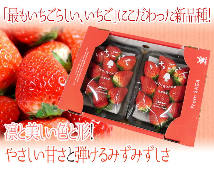 楽天市場】佐賀 ”いちごさん” 秀品 3L〜5Lサイズ 約250g×2パック 化粧箱【予約 12月以降】 送料無料 : くらし快援隊〜お中元お歳暮ギフト