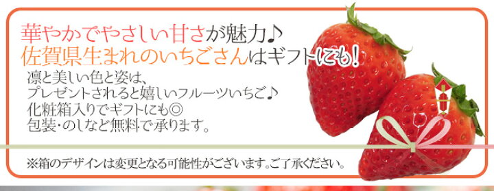 楽天市場】佐賀 ”いちごさん” 秀品 3L〜5Lサイズ 約250g×2パック 化粧箱【予約 12月以降】 送料無料 : くらし快援隊〜お中元お歳暮ギフト