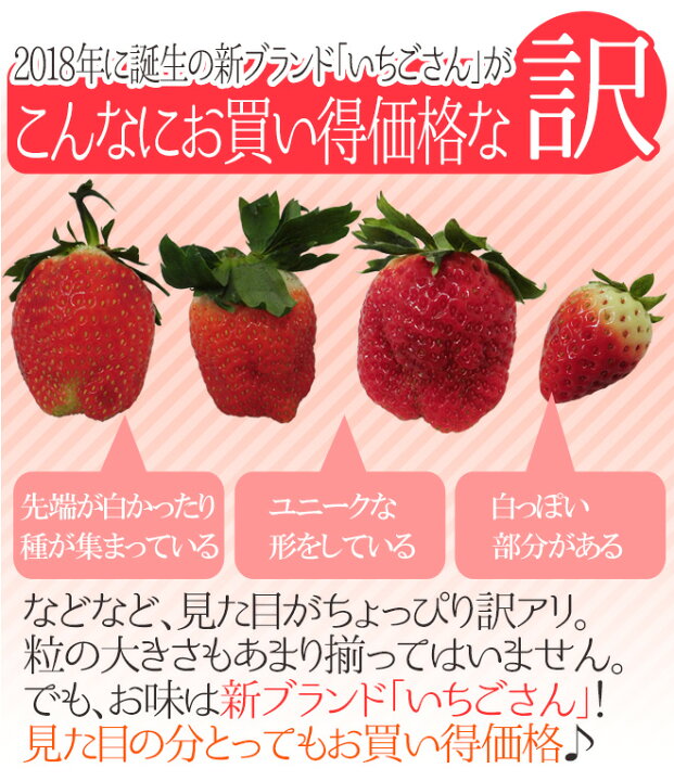 楽天市場 佐賀 いちごさん ちょっと訳あり 約250g 4パック 大きさおまかせ 予約 12月以降 送料無料 くらし快援隊 母の日父の日お歳暮