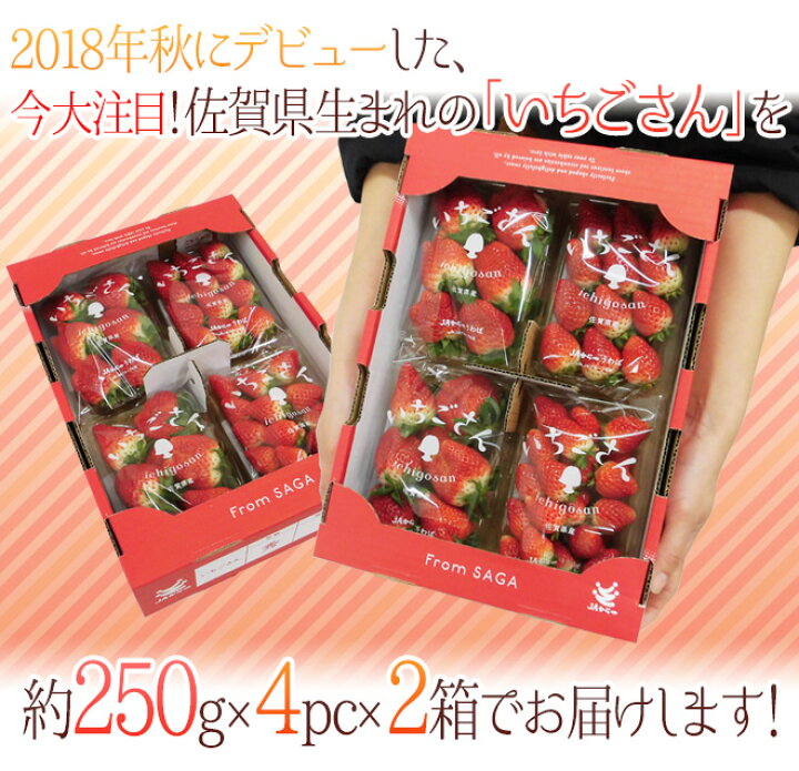 楽天市場】佐賀 ”いちごさん” ちょっと訳あり 約250g×4パック×《2箱》 大きさおまかせ【予約 12月以降】 送料無料 :  くらし快援隊〜お中元お歳暮ギフト