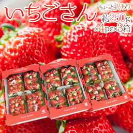 佐賀 ”いちごさん” ちょっと訳あり 約250g×4パック×《3箱》 大きさおまかせ【予約 12月以降】 送料無料