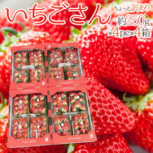  hh Ɩ󂠂 250g×4pbN×s4t 傫܂y\ 12`1ȍ~z 