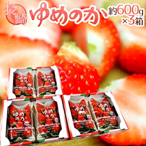 YC`S h߂̂h 600g×3i1300g×2pcjy\ 12`1ȍ~z 