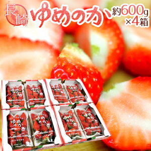 YC`S h߂̂h 600g×4i1300g×2pcjy\ 12`1ȍ~z 