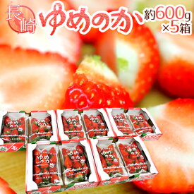 長崎産イチゴ ”ゆめのかいちご” 約600g×5箱（1箱あたり約300g×2pc）【予約 12月以降】 送料無料