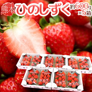 F{ hЂ̂h Gi 2pbNi1pbN 7`13 300gj×s5ty\ 12ȍ~z 