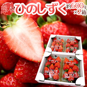 いちご 300gの通販 価格比較 価格 Com