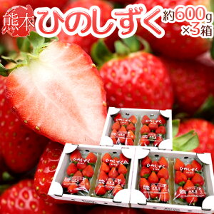 F{ hЂ̂h Gi 2pbNi1pbN 7`13 300gj×s3ty\ 12ȍ~z 