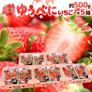 F{ h䂤ׂɂiFgjh Gi 2pbNi1pbN 7`13 250gj×s5ty\ 12ȍ~z 