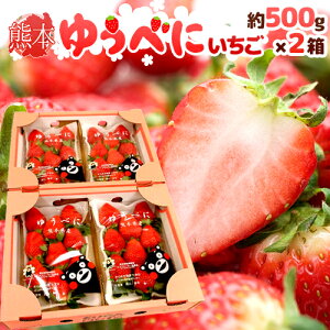 F{ h䂤ׂɂiFgjh Gi 2pbNi1pbN 7`13 250gj×s2ty\ 12ȍ~z 