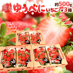 F{ h䂤ׂɂiFgjh Gi 2pbNi1pbN 7`13 250gj×s3ty\ 12ȍ~z 