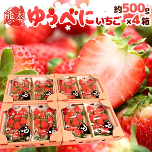 F{ h䂤ׂɂiFgjh Gi 2pbNi1pbN 7`13 250gj×s4ty\ 12ȍ~z 