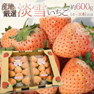 h WႢh 2pci1pc300gj YnIy\ 12`1ȍ~z 