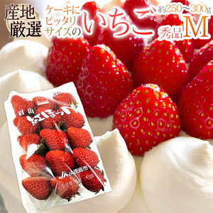 いちご 300gの人気商品 通販 価格比較 価格 Com いちご 300gの人気商品 通販 価格比較 価格 Com