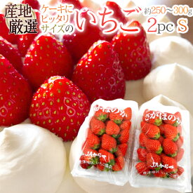 ケーキにピッタリサイズの ”いちご” Sサイズ 約250〜300g×《2pc》 産地厳選 ケーキ用/製菓用/業務用 送料無料