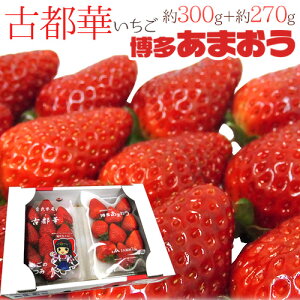 ޗǁEY h܂{Ós؂ Hה׃Zbgh 2pcy\ 12`1ȍ~z 