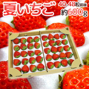 hĂh 40`48O 600g YnIy\ 6{ȍ~z