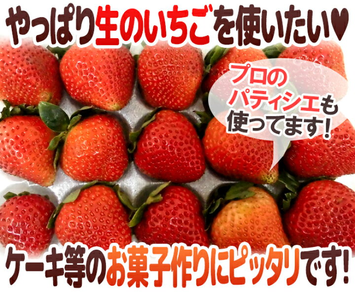 楽天市場】アメリカ産 ”いちご” 15粒前後 約250g【予約 6月下旬以降】 : くらし快援隊〜お中元お歳暮ギフト 楽天市場】アメリカ産 ”いちご” 15粒前後 約250g【予約 6月下旬以降】 : くらし快援隊〜お中元お歳暮ギフト
