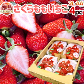 【お届け日指定可能】徳島県・佐那河内産 ”さくらももいちご” 秀品2L・大粒AA 4パック入り 幻のいちご 送料無料