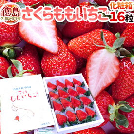 【お届け日指定可能】徳島県 ”佐那河内産 さくらももいちご” 特大16粒 化粧箱 送料無料