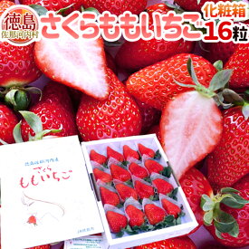 徳島県佐那河内産 ”さくらももいちご” 特大16粒 化粧箱【予約 12月以降】 送料無料