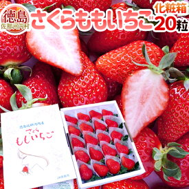 徳島県佐那河内産 ”さくらももいちご” 超大粒20粒 化粧箱【予約 12月以降】 送料無料