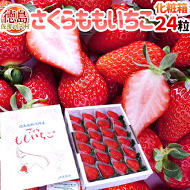 徳島県佐那河内産 ”さくらももいちご” 大粒24粒 化粧箱【予約 12月以降】 送料無料