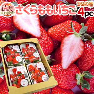 ߉͓ hh 󂠂 200g×4pc P҂y\ 12ȍ~z 
