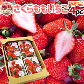 【お届け日指定可能】徳島県佐那河内 ”さくらももいちご” 約200g×4パック 訳あり ご家庭用 送料無料