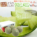 青森県 きづくり・にしきた ”タカミメロン プレミアム” 4〜6玉 約8kg 糖度17度以上【予約 6月末以降】 送料無料