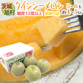 JA茨城旭村 ”クインシーメロン” 訳あり 3〜6玉 風袋込約4〜5kg【予約 5月末以降】 送料無料