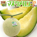 ”茨城県 旭村 温室マスクメロン” 秀品 超大玉1玉 約1.5〜2kg【予約 7月末以降】 送料無料
