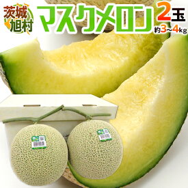 茨城県 旭村 ”温室マスクメロン” 秀品 超大玉2玉 約3〜4kg【予約 7月末以降】 送料無料