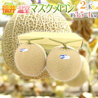 福井県 ”温室マスクメロン” 秀品 大玉2玉 約3.5〜4kg【予約 9月以降】 送料無料