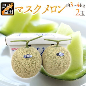島根県 ”温室マスクメロン” 秀品 超大玉2玉 約3〜4kg【予約 10月以降】 送料無料