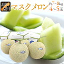 島根県 ”温室マスクメロン” 秀品 大玉4〜5玉 約7〜8kg【予約 7月以降】 送料無料
